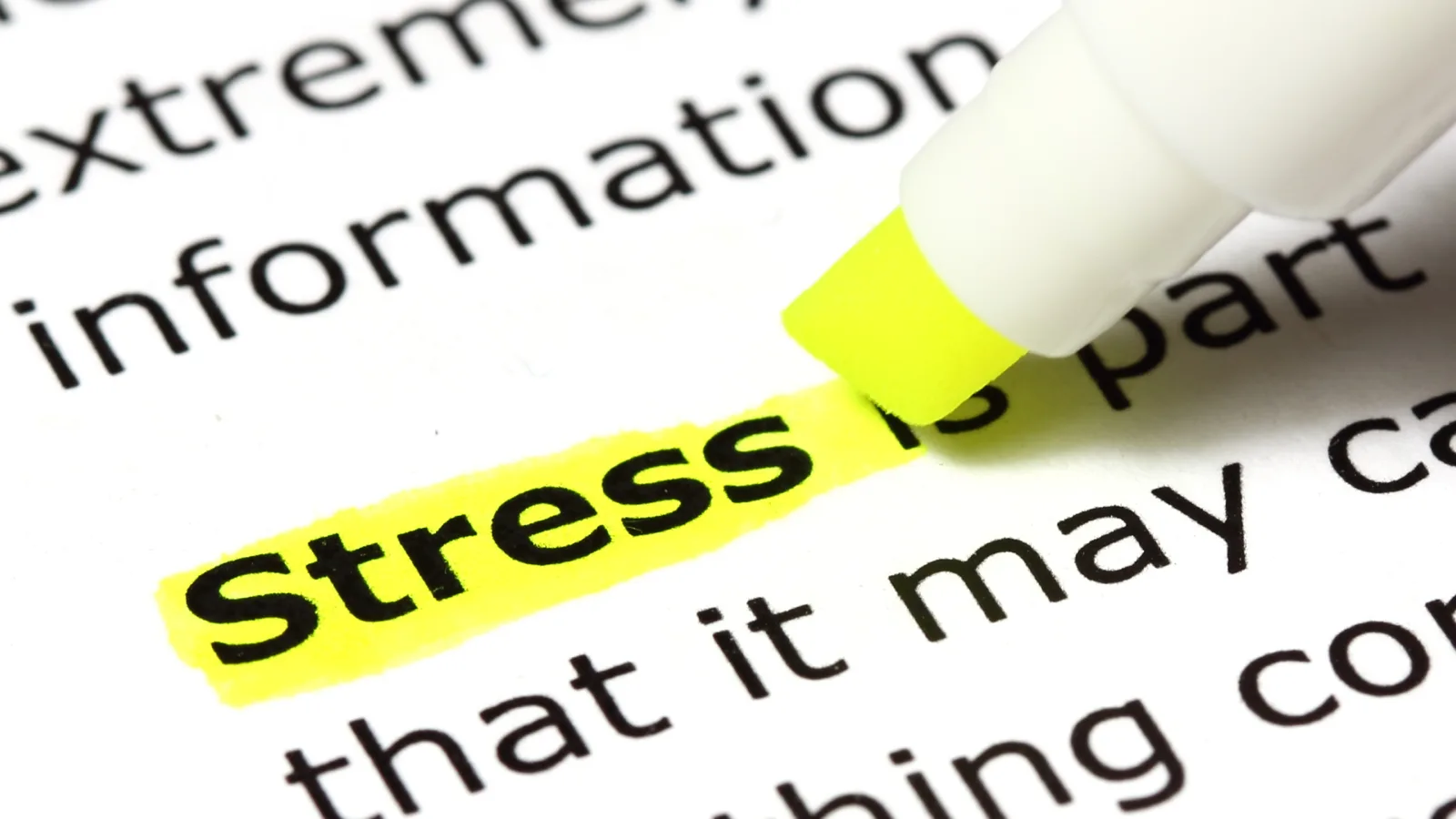 stress resilience